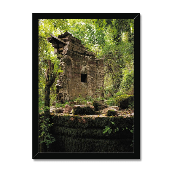 Chiesa di San Martino Vecchio Framed Print