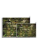 Moss Covered Wall of San Martino  Fine Art Print