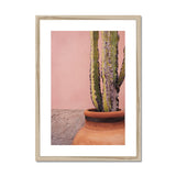 Terracotta and Pink Framed & Mounted Print