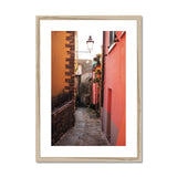 Walkway of Colour Framed & Mounted Print