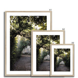 Light Streaks in Boboli Gardens - Tuscany Collection Framed & Mounted Print