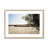 Olive Tree at the Plein Air Cinema - Corsica Collection Framed & Mounted Print