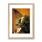 Yellow Archway Framed & Mounted Print