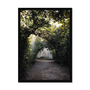 Light Streaks in Boboli Gardens - Tuscany Collection Framed Print