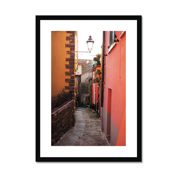 Walkway of Colour Framed & Mounted Print