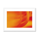 Fire Flower Framed & Mounted Print - Arte Della Fotografia