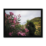 Monterosso Headland Through Flowers - Cinque Terre Collection Framed Print