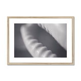 Shell Detail One Framed & Mounted Print - Arte Della Fotografia