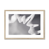 Shell Detail Three Framed & Mounted Print - Arte Della Fotografia