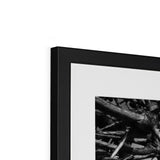 Right-Angled Tree Framed & Mounted Print - Arte Della Fotografia