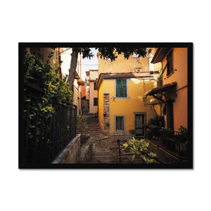 Colourful Corner Framed Print