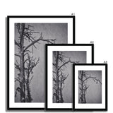 Snow Storm Three Framed & Mounted Print