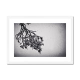 Snow Storm One Framed & Mounted Print