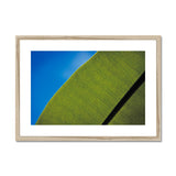 Frangipani Leaf and Summer Sky Framed & Mounted Print