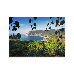 Monterosso Through The Vines - Cinque Terre Collection Fine Art Print