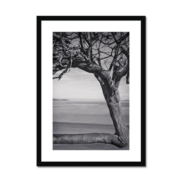 Right-Angled Tree Framed & Mounted Print - Arte Della Fotografia