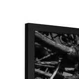 Right-Angled Tree Framed Print - Arte Della Fotografia