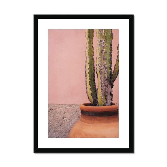 Terracotta and Pink Framed & Mounted Print