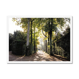 Tree Corridor in Boboli Gardens - Tuscany Collection  Framed Print