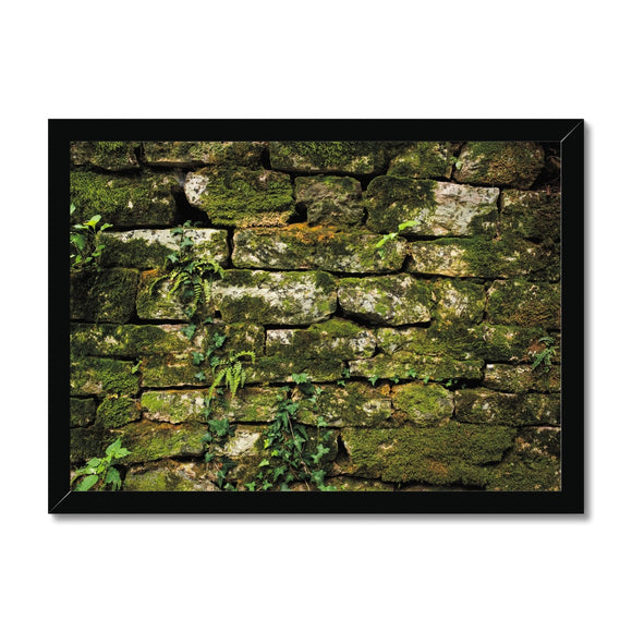 Moss Covered Wall of San Martino  Framed Print