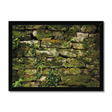 Moss Covered Wall of San Martino  Framed Print