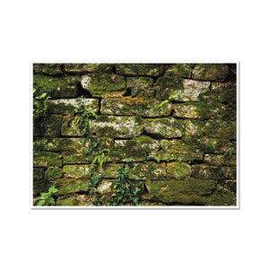 Moss Covered Wall of San Martino  Fine Art Print