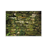 Moss Covered Wall of San Martino  Fine Art Print