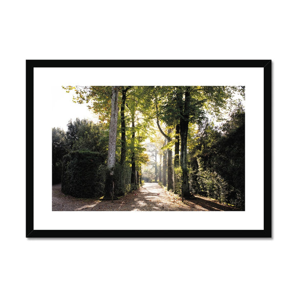 Tree Corridor in Boboli Gardens - Tuscany Collection  Framed & Mounted Print