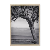 Right-Angled Tree Framed Print - Arte Della Fotografia