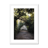 Light Streaks in Boboli Gardens - Tuscany Collection Framed & Mounted Print