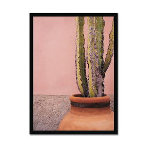 Terracotta and Pink Framed Print